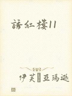 诱红楼11