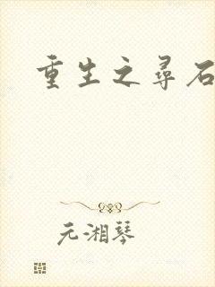 重生之寻石者
