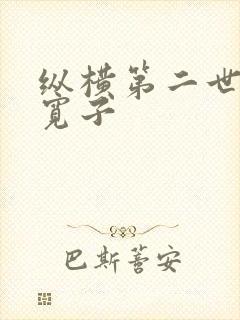 纵横第二世界 宽子封面