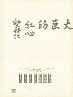 紫红的巨大顶开花心
