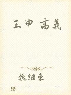 王申 高义