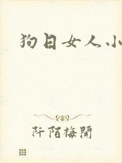 狗日女人小说