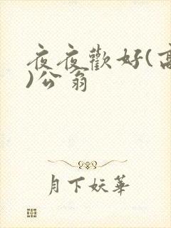 夜夜欢好(高h)公翁
