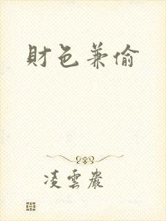 财色兼偷封面
