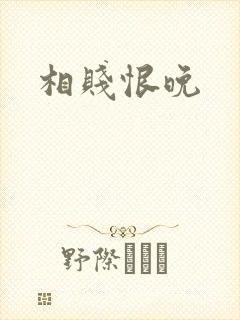 相贱恨晚封面