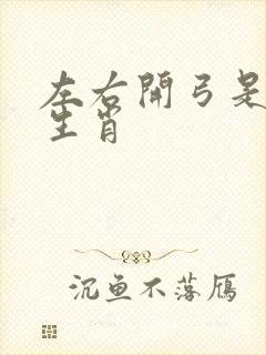 左右开弓是什么生肖封面