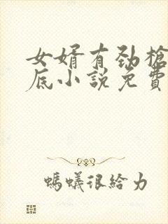 女婿有劲枪枪到底小说免费看封面