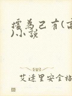 据为己有(高干)小说