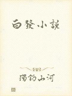 白发小说