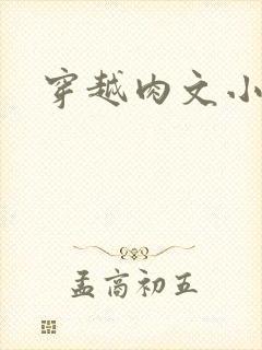 穿越肉文小说