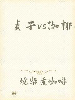 贞子vs伽椰子