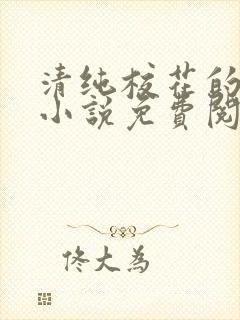 清纯校花的秘密小说免费阅读