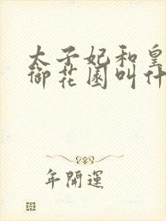 太子妃和皇帝在御花园叫什么小说封面
