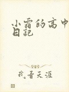 小霜的高中成长日记