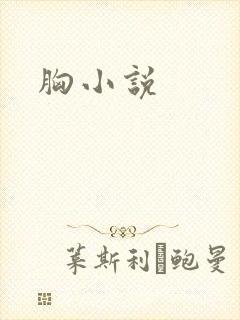 胸小说