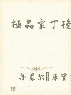 极品家丁后传