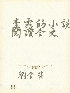 李霖的小说免费阅读全文