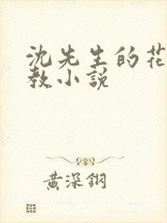 沈先生的花式管教小说