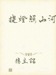 提灯照山河封面