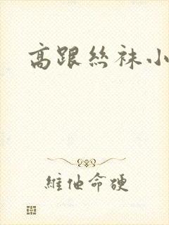 高跟丝袜小说