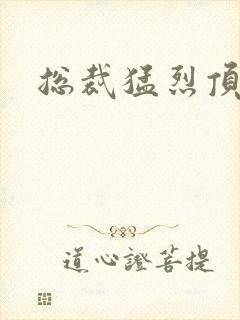 总裁猛烈顶弄h