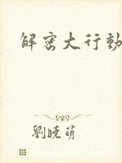 解密大行动