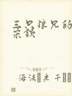 三只狼兄的宠妻宋钦封面