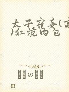 太子宠妾(高肉)红烧肉包