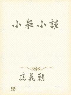 小米小说