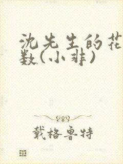 沈先生的花式调数(小非)