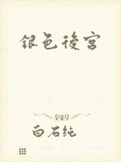 银色后宫