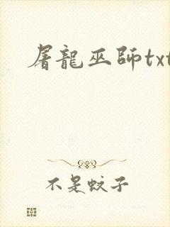 屠龙巫师txt