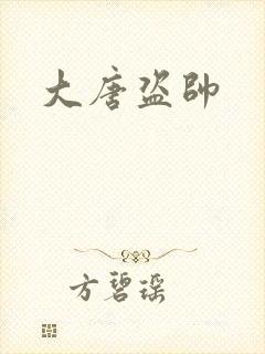 大唐盗帅