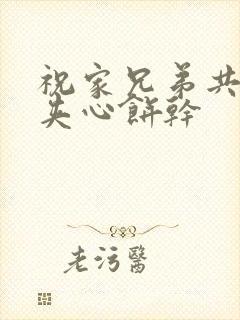 祝家兄弟共享后夹心饼干