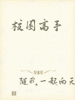 校园高手