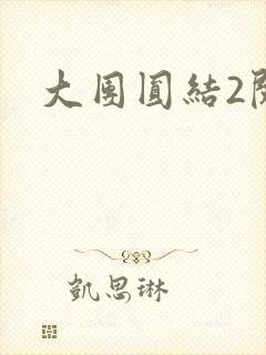 大团圆结2阅读封面