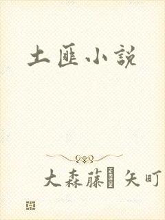 土匪小说