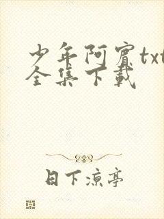 少年阿宾txt全集下载