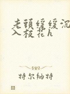 老头缓缓沉腰进入校花h