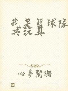 我是篮球队的公共玩具封面