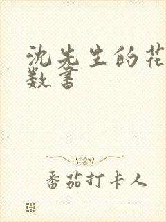 沈先生的花式调数书封面