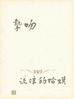 挚吻