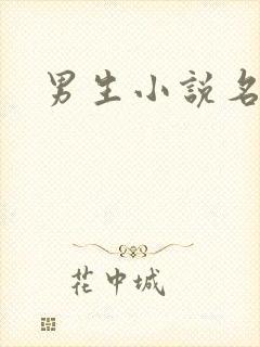 男生小说名字