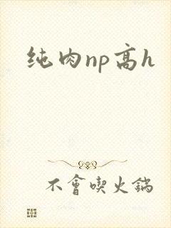 纯肉np高h