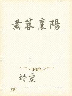 黄蓉襄阳封面