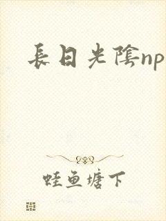 长日光阴np