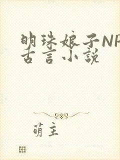 明珠娘子NPC古言小说