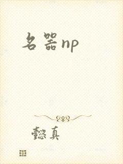 名器np