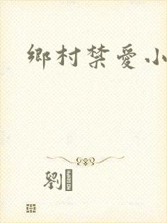 乡村禁爱小说