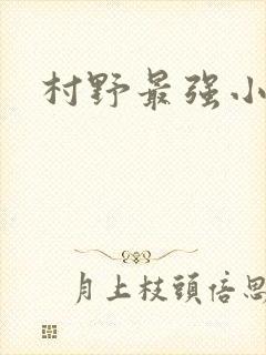 村野最强小农民